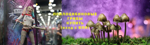 трава Балахна