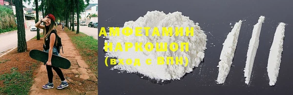 молекула духа Арсеньев