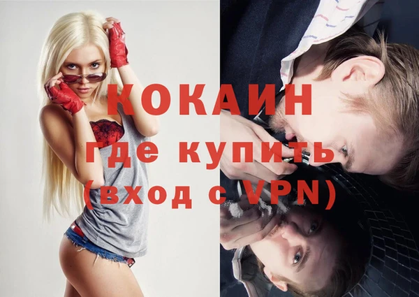 молекула духа Арсеньев